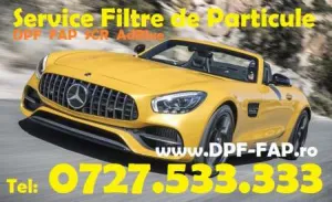 Dezactivare Anulare filtru particule fap egr vmax