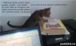 statistica avansata in spss - Miniatura 1