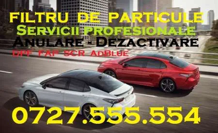 Anulare Filtru Particule DPF FAP Adblue EGR Chiptuning - Imaginea 1
