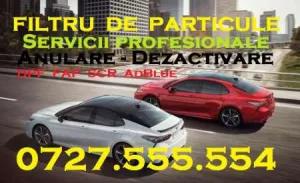 Anulare Filtru Particule DPF FAP Adblue EGR Chiptuning