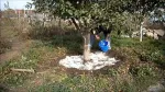 Vand DEL-CA-MAG, Dolomita amorfa de Delnita - Miniatura 3