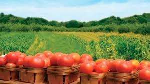 agricultura in germania 1200 euro/luna