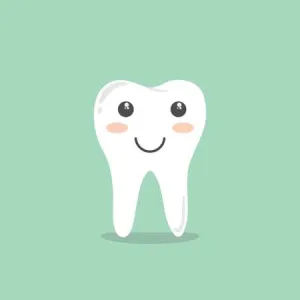 Aparat dentar safir
