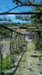Schimb sau vÃ¢nd 2 case in FaÈ›a Cremeni cu garsoniera  - Miniatura 2