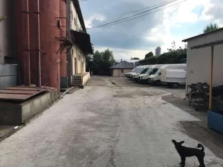 Vand Afacere Morarit si Panificatie - Imaginea 3