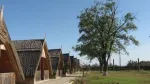 Oportunitate afacere, 736 Ha Delta Dunarii - Miniatura 3