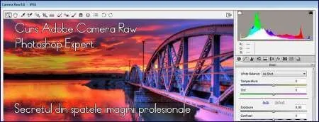 Cursuri Adobe Photoshop, Illustrator, Lighroom, Corel - Imaginea 4