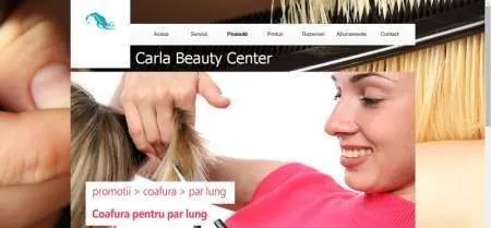 Curs Web Design HTML 5 CSS 3, magazin virtual - Imaginea 3