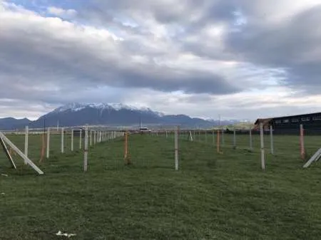 Vand teren intravilan in Zarnesti, Brasov - Imaginea 1