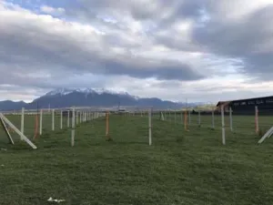 Vand teren intravilan in Zarnesti, Brasov 