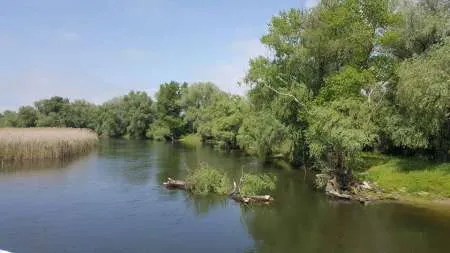 EXCURSII SI CAZARE IN DELTA DUNARII - Imaginea 5