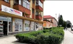 Agentie servicii consultanta Agentia Rot Simeria - Miniatura 2
