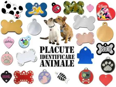 Medalioane personalizate pentru animale - Imaginea 1
