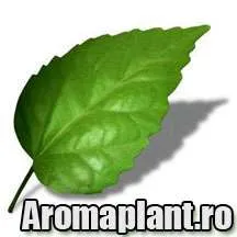 Metioda eficienta de intinerire a organismului.