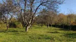 Vand/ schimb teren intravilan Rasinari cu garsoniera/ apartament Sibiu - Miniatura 4