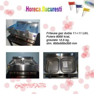 Friteuza gaz 2x11 Litri de banc noua