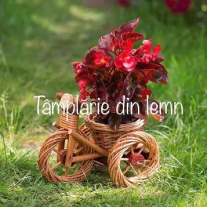 Suport flori Bicicleta si tractor rustice, din rachita