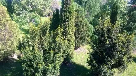 Vand casa Falticeni - Imaginea 5