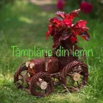 Suport flori Bicicleta si tractor rustice, din rachita - Miniatura 2