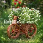 Suport flori Bicicleta si tractor rustice, din rachita - Miniatura 3