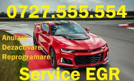 Anulare Dezactivare EGR Ã¢â‚¬â€œ Valva EGR orice model - Imaginea 1