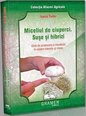Ciuperca de paie sau godzila - Imaginea 4