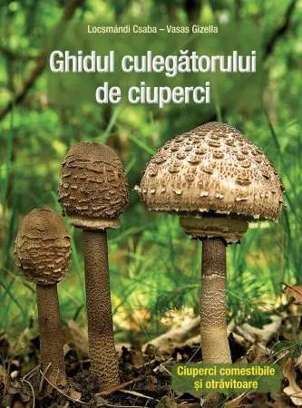 Ciuperca de paie sau godzila - Imaginea 6