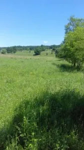 parcele teren intravilan langa padure zona deal