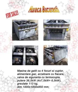 Aragaze inox gaz profesionale