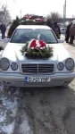 INFINITI STREHAIA - Servicii funerare complete - Miniatura 2