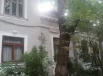 Complex de vile, ideal hotel/hostel/restaurant/firma, 1000mp/60 camere - Miniatura 1