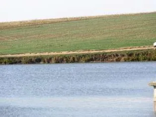 Teren Belciugatele lac valea iazurilor 34 ha - Imaginea 1