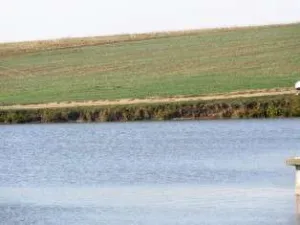 Teren Belciugatele lac valea iazurilor 34 ha
