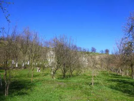 gospodarie mare in Renghet, Orastie, in zona Geoagiu Bai, Apuseni - Imaginea 6
