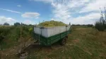 Crama Toaca Cosmin - vinuri albe si rosii - Miniatura 1