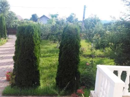 Vand Vila noua 150mp, Banesti, Prahova - Imaginea 4
