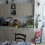 Ofer spre inchiriere Apartament 2 camere et 1 Comanesti - Miniatura 3