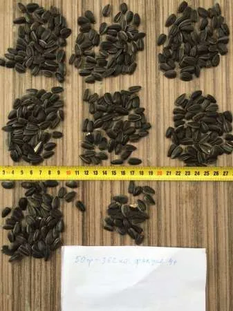 Cereale - Legume - Fructe de la producator - Imaginea 5