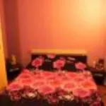 Ofer spre inchiriere Apartament 2 camere et 1 Comanesti - Miniatura 10