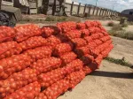 Cereale - Legume - Fructe de la producator - Miniatura 8