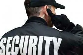 PROFESIONAL ACADEMY - Curs Agent de Securitate cod C. O. R. 5169. 1. 3 - Imaginea 1