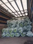 Cereale - Legume - Fructe de la producator - Miniatura 11