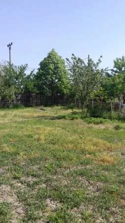 Teren intravilan construibil Slatina, Satu Nou - Imaginea 2
