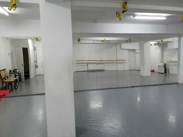 Studiouri de inchiriat (35m2/ 46m2/ 77m2/ 110m2) - Imaginea 2