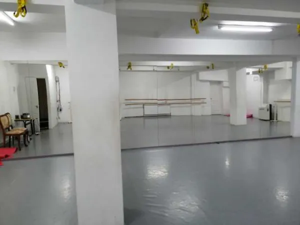 Studiouri de inchiriat (35m2/ 46m2/ 77m2/ 110m2) - Imaginea 2