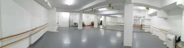 Studiouri de inchiriat (35m2/ 46m2/ 77m2/ 110m2) - Imaginea 3