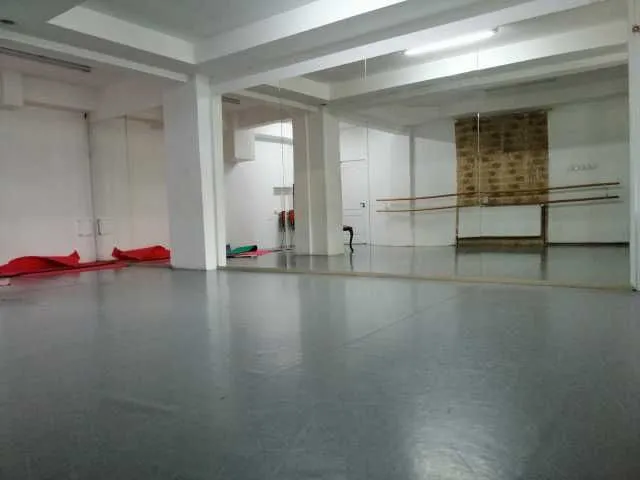 Studiouri de inchiriat (35m2/ 46m2/ 77m2/ 110m2) - Imaginea 4