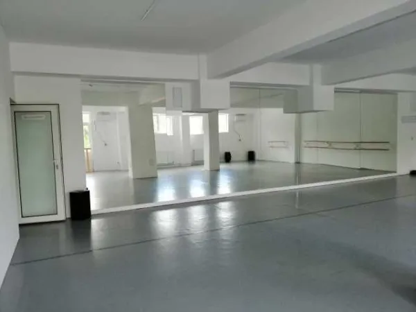 Studiouri de inchiriat (35m2/ 46m2/ 77m2/ 110m2) - Imaginea 8