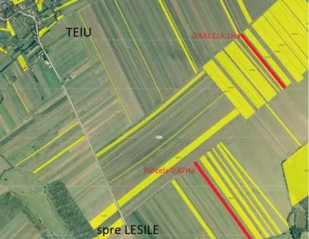 Vand teren agricol 1. 87Ha, Teiu, Arges, 2 parcele, cadastru, intabulare, 20000lei/ Ha, nego - Imaginea 1