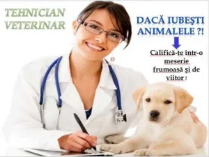Cursuri calificare - tehnician veterinar, tehnician cadastru funciar topograf.